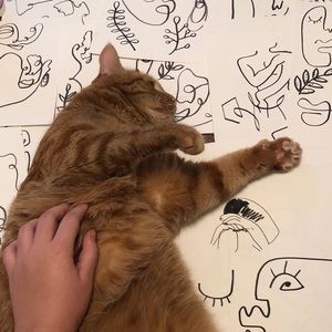 Meet your Posher, Mackenzie